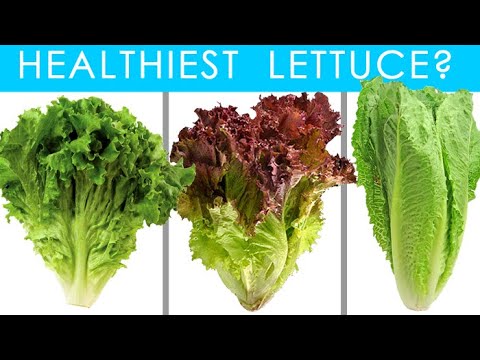 Discover the Health Benefits of Green Leaf Lettuce: A Nutrient